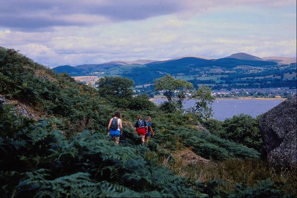 628072 Walkers In Welsh Hills, Bala Area, Wales A4 Photo Print