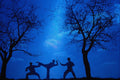 628083 Martial Art, Silhouette Of Three Fighters A4 Photo Print