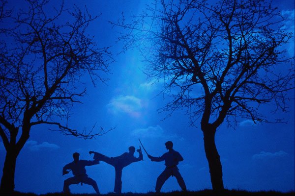 628083 Martial Art, Silhouette Of Three Fighters A4 Photo Print