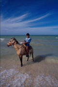 628091 Local Boy On Horseback At The Beach, Yucatan, Mexico A4 Photo Print