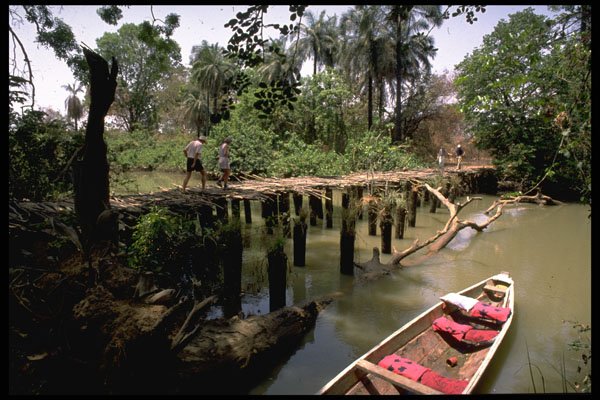 629019 The River Gambia, Upstream A4 Photo Print