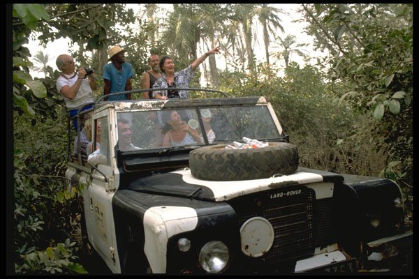 629020 On Safari, Gambia A4 Photo Print