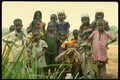 629034 Village Children, Cameroon A4 Photo Print