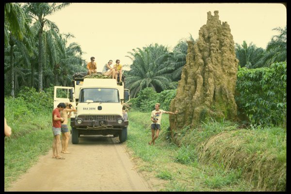 629035 Termite Mound, Zaire A4 Photo Print