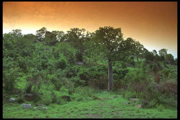 629045 Ancestral Home Of The Dipo People, Ghana A4 Photo Print