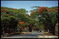 629076 Harare, Zimbabwe A4 Photo Print