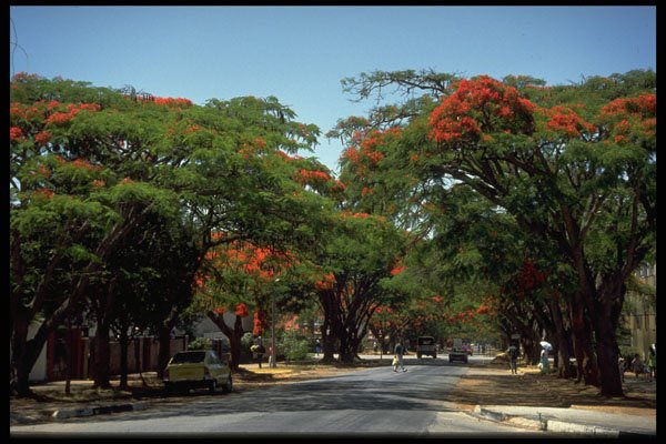 629076 Harare, Zimbabwe A4 Photo Print