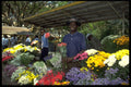 629077 Flower Market, Harare, Zimbabwe A4 Photo Print