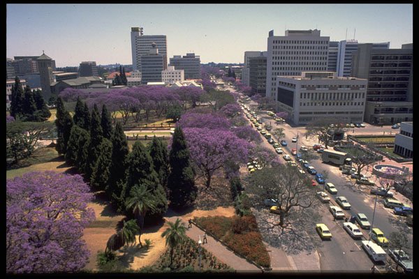 629078 Harare, Zimbabwe A4 Photo Print