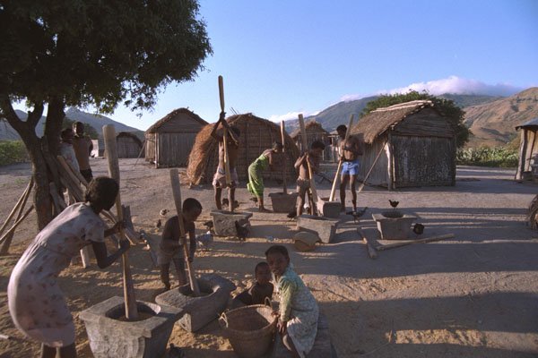 629096 Families On An Estate Pound And Grind Seed, Madagascar A4 Photo Print