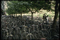 630006 Sidewalk Bicycle Storage A4 Photo Print