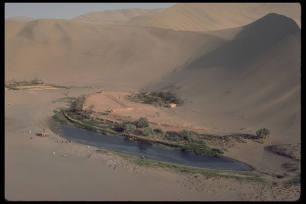 630028 Oasis In Taklamaigan Desert A4 Photo Print