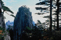 630076 Yu Sun Gong Pine Forest, Huang Shan A4 Photo Print