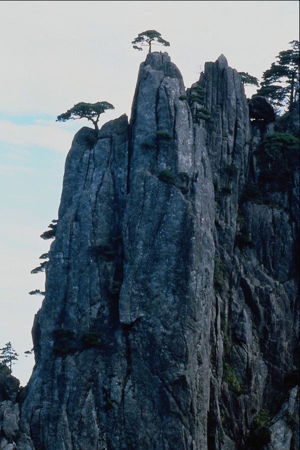 630077 Shi Xin Peak, Huang Shan A4 Photo Print