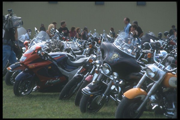 631009 Harley Line up A4 Photo Print