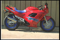 631061 Katana A4 Photo Print