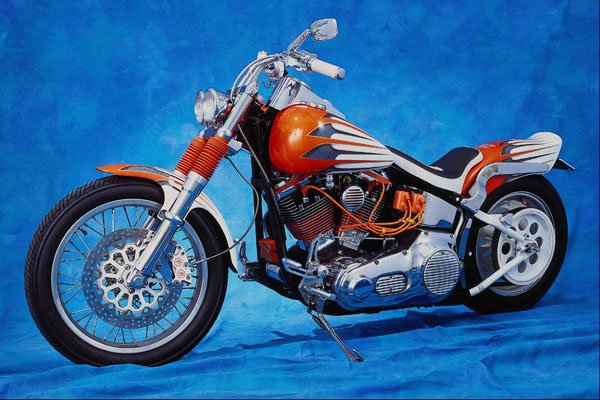 631072 Harley Davidson Motorcycle A4 Photo Print