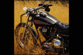 631073 Harley Davidson Motorcycle A4 Photo Print