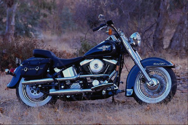 631074 Harley Davidson Motorcycle A4 Photo Print