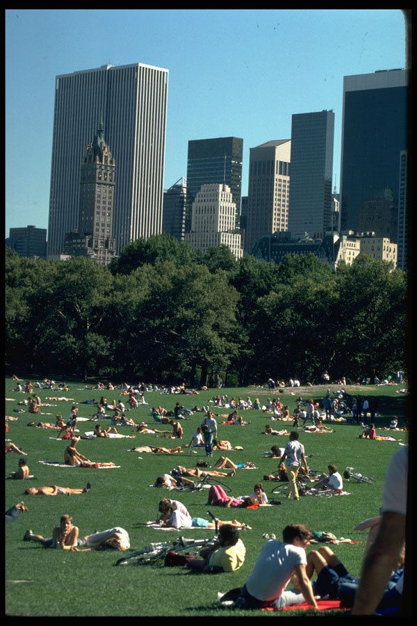 632009 Relaxing In Central Park, New York City A4 Photo Print