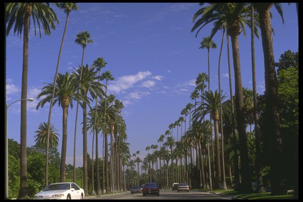 632026 Residential Rodeo Drive, Beverly Hills, California A4 Photo Print