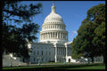 632044 Capitol Building, Washington, D.C. A4 Photo Print