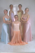 633051 Swan Song A4 Photo Print