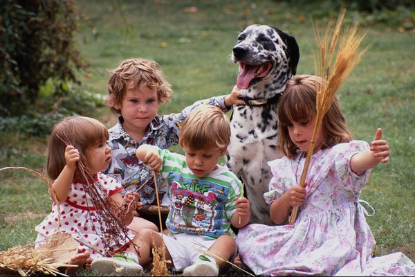 633091 Children Playing With Dog A4 Photo Print