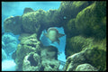 634030 Shark Passage, Cancun, Mexico A4 Photo Print
