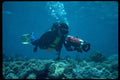 634047 Diver Photographing The Tropical Seascape A4 Photo Print