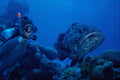 634055 Great Barrier Reef, Australia A4 Photo Print