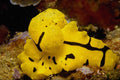 634073 Cebu, Philippines A4 Photo Print