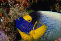 634074 Palau, Caroline Islands A4 Photo Print