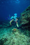 634078 Divers With Starfish, Ibiza, Spain A4 Photo Print