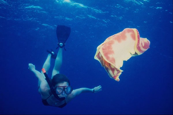 634084 Snorkeling With Giant Spanish Dancer Nudibranch, Philippines A4 Photo Print