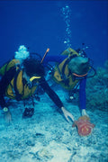 634093 Diver With Giant Spanish Dancer, Cebu, Philippines A4 Photo Print