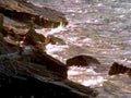 6341001980s 1990s A4 Photo Print