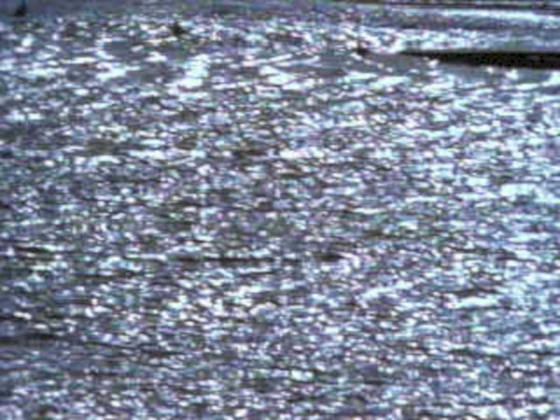 6346001980s 1990s A4 Photo Print