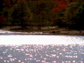 6347001980s 1990s A4 Photo Print