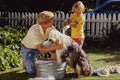 635066 Father And Son Washing The Sheepdog A4 Photo Print