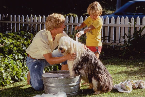 635066 Father And Son Washing The Sheepdog A4 Photo Print