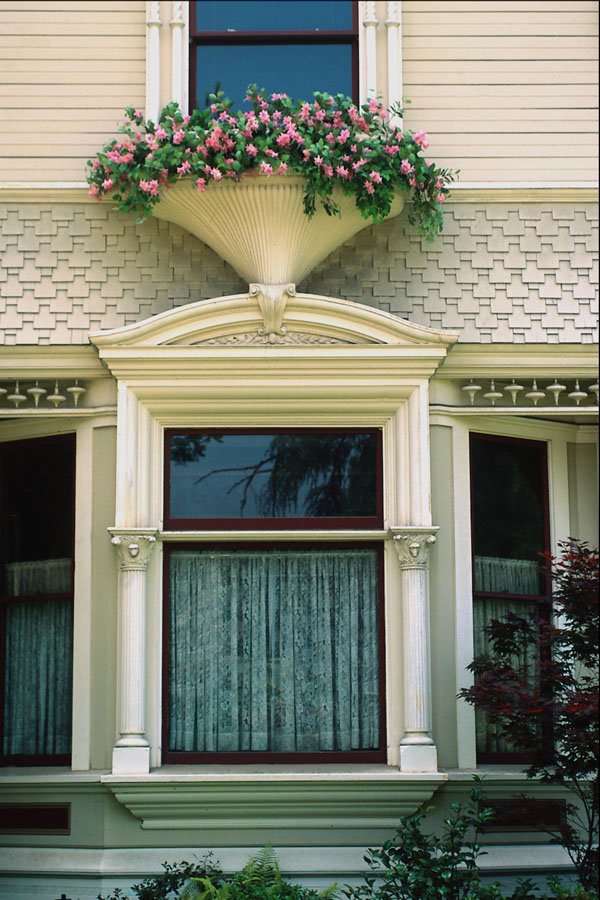 636025 Window Surround A4 Photo Print