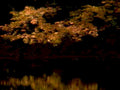 6368001980s 1990s A4 Photo Print