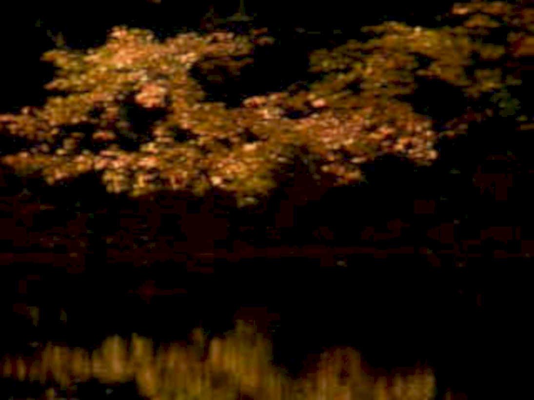 6368001980s 1990s A4 Photo Print