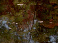 6374001980s 1990s A4 Photo Print