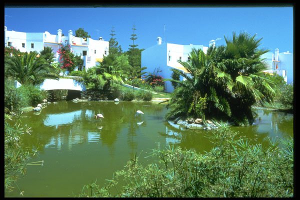 638015 Flamingo Pond, Val Do Lobo, Algarve, Portugal A4 Photo Print