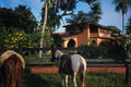 638081 Pousada Cayman, Brazil A4 Photo Print