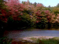 6387001980s 1990s A4 Photo Print