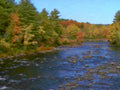 6391001980s 1990s A4 Photo Print