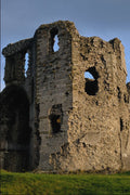 640019 Denbigh Castle A4 Photo Print